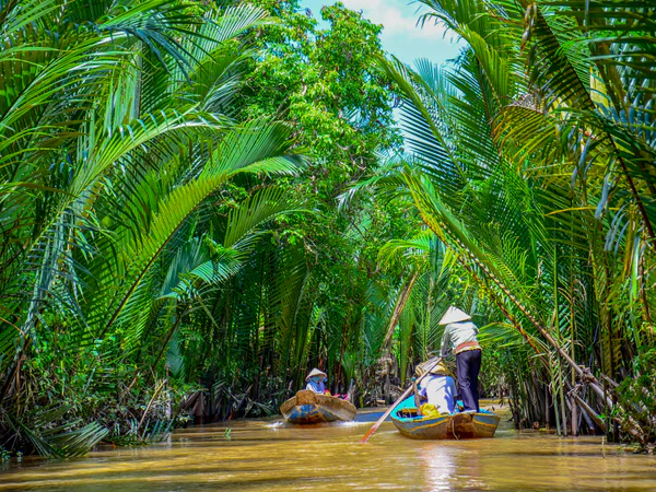 Padlebåde i Mekong-deltaet, Vietnam