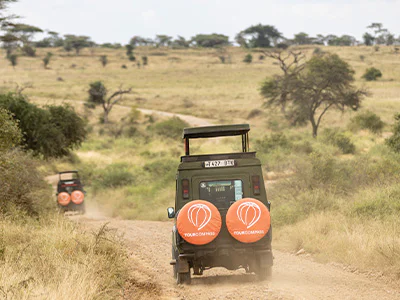 TourCompass safaribil kører i Tanzania