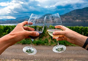 Par, der skåler i vin i Okanagan-dalen i Canada