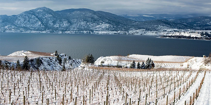 Vinterlandskaber i Okanagan-dalen i Canada