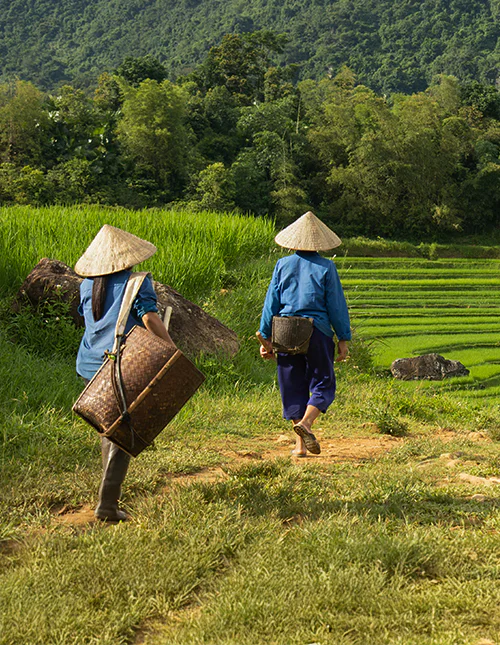 To kvinder på vej ud for at arbejde i rismarkerne i Pu Luong Naturreservat, Vietnam