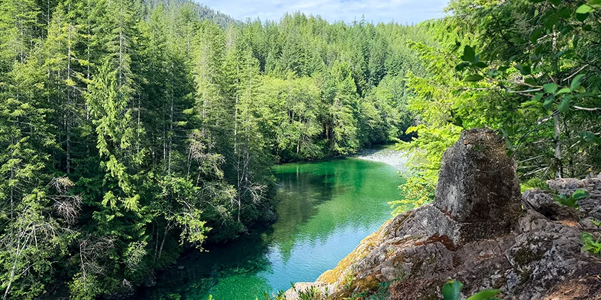 Smuk natur med grønne træer og flod på Vancouver Island i Canada
