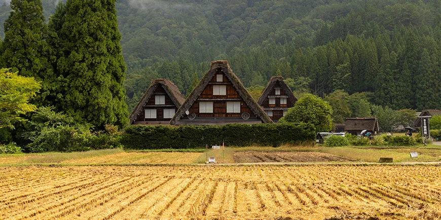 De berømte gassho-zukuri-huse i Shirakawa-Go i de Japanske Alper