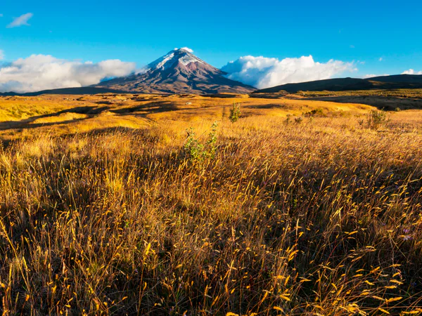 Cotopaxi-vulkanen under blå himmel