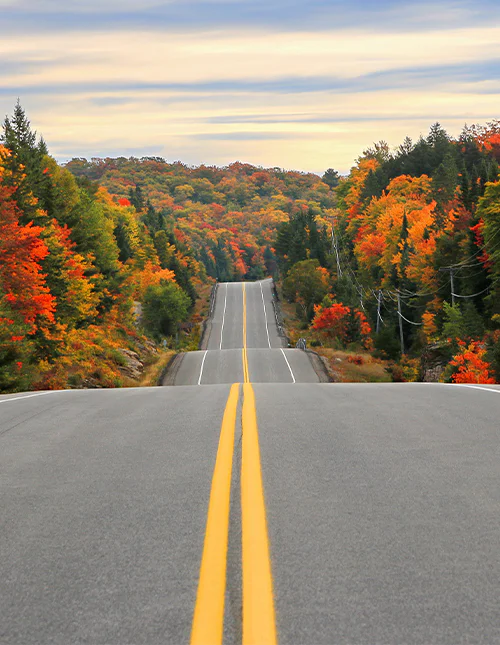 Landevejsstrækning gennem Algonquin Provincial Park om efteråret, Ontario, Canada