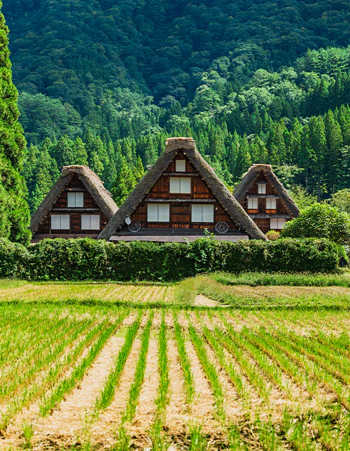 Shirakawa-go om efteråret