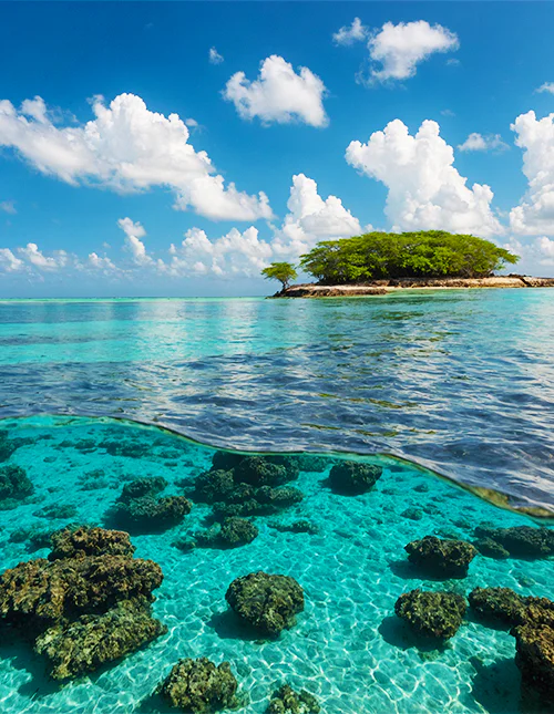 Billede af det smukke turkisblå vand i Malindi Marinepark