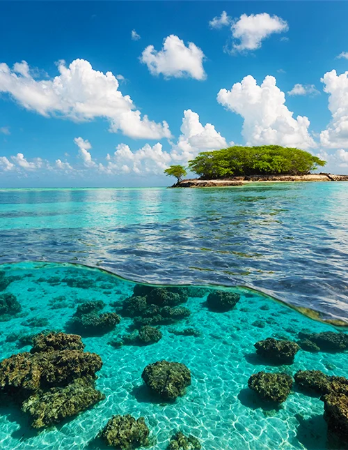Billede af det smukke turkisblå vand i Malindi Marinepark