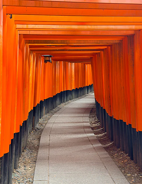 Torii-portgang ved Fushimi Inari i Kyoto, Japan