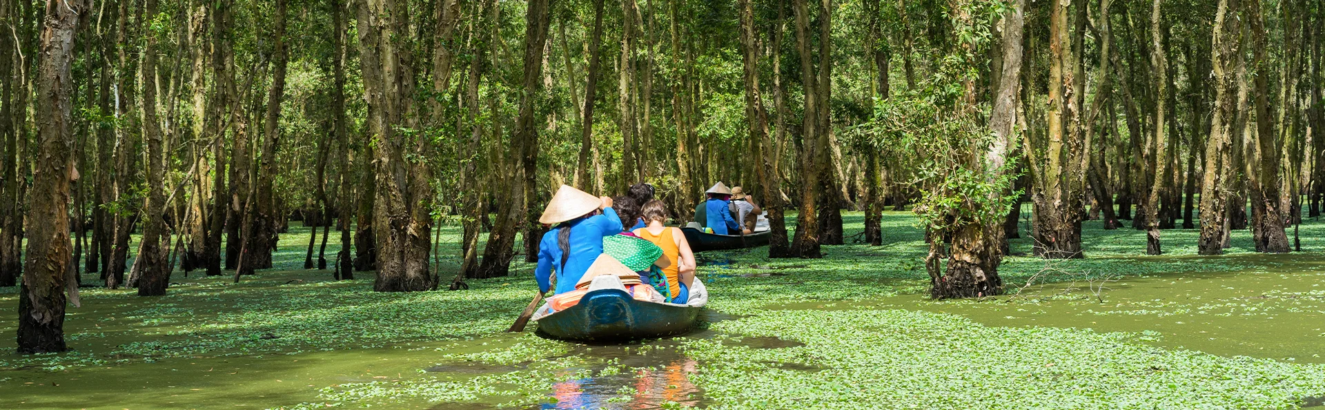 Sejltur gennem den grønne Tra Su-skov i Mekong-deltaet