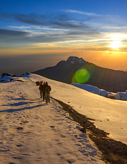 En flok vandrere går på Machame-ruten ved solopgang
