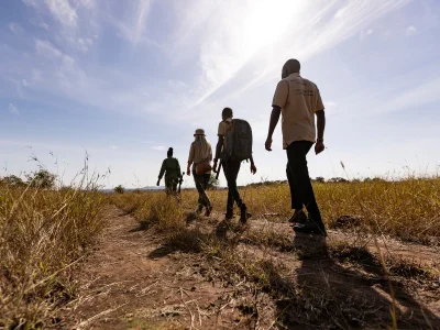 Gruppe af mennesker, der går på savannen i Tanzania