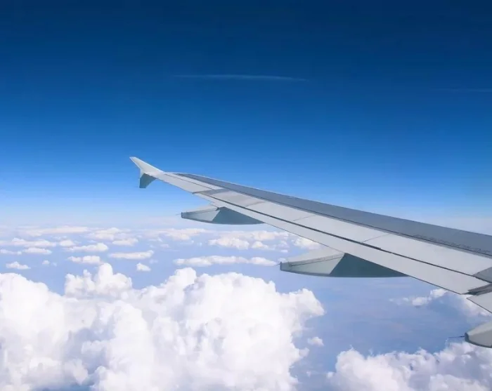 Flyvinge over skyerne på vej til destination