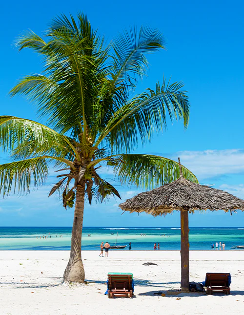 Smuk palmestrand med hvidt sand i Mombasa