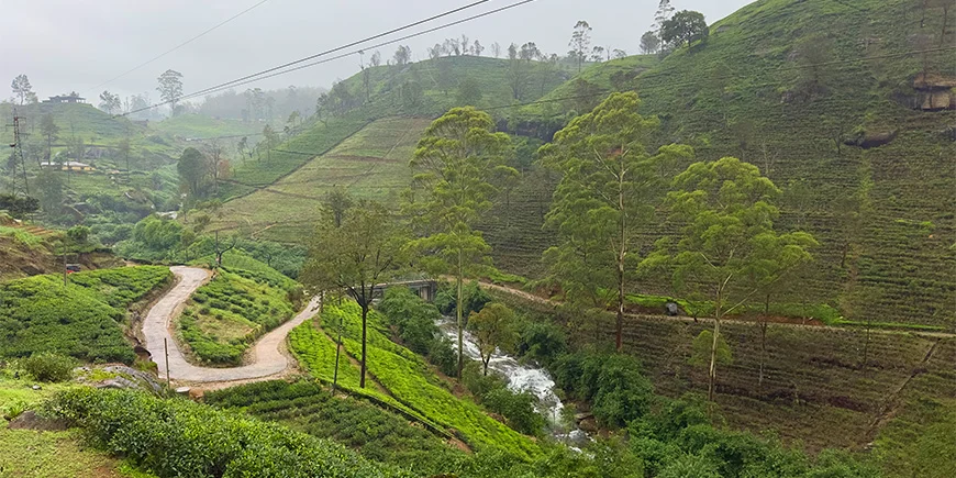 Det smukke højland i Sri Lanka