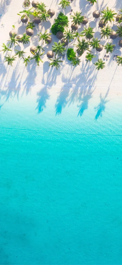 Strand på Zanzibar set fra drone