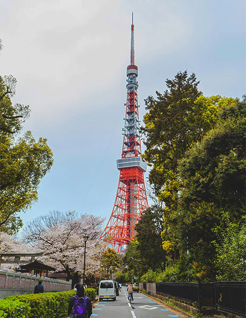 Tokyo Tower i Sakura sæson i Tokyo, Japan