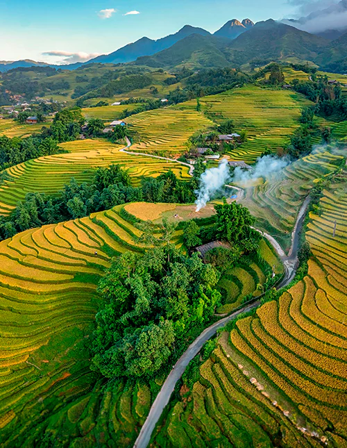 Luftfoto af rismarker eller risterrasser, Sapa, Vietnam.
