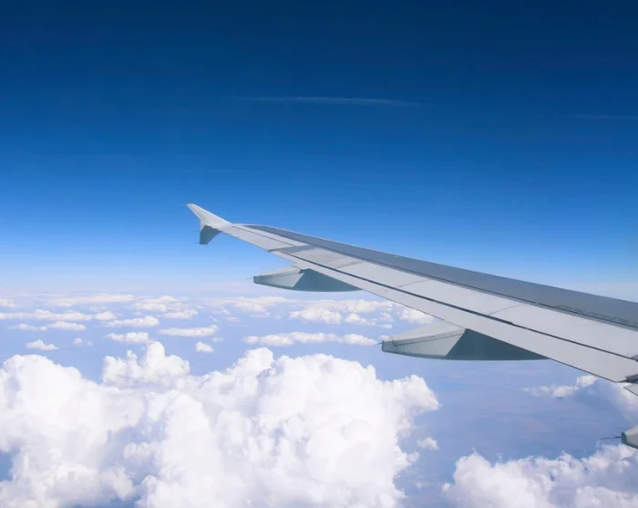 Flyvinge over skyerne på vej til destination