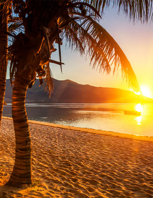 Smuk palmestrand på Mauritius ved solnedgang 