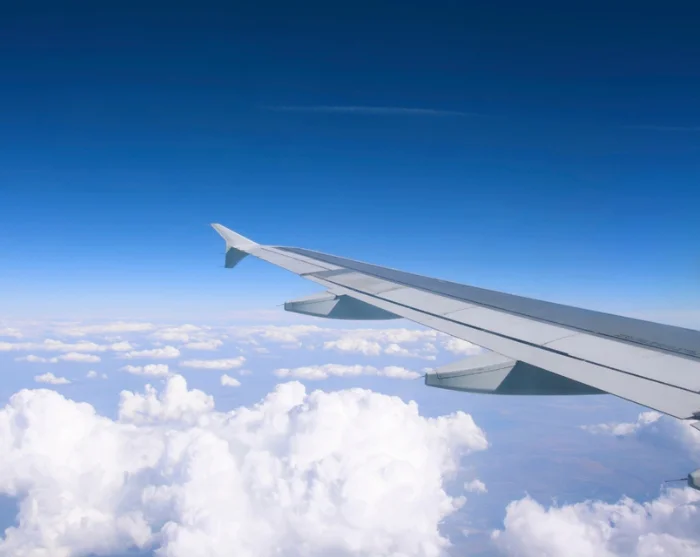 Flyvinge over skyerne på vej til destination