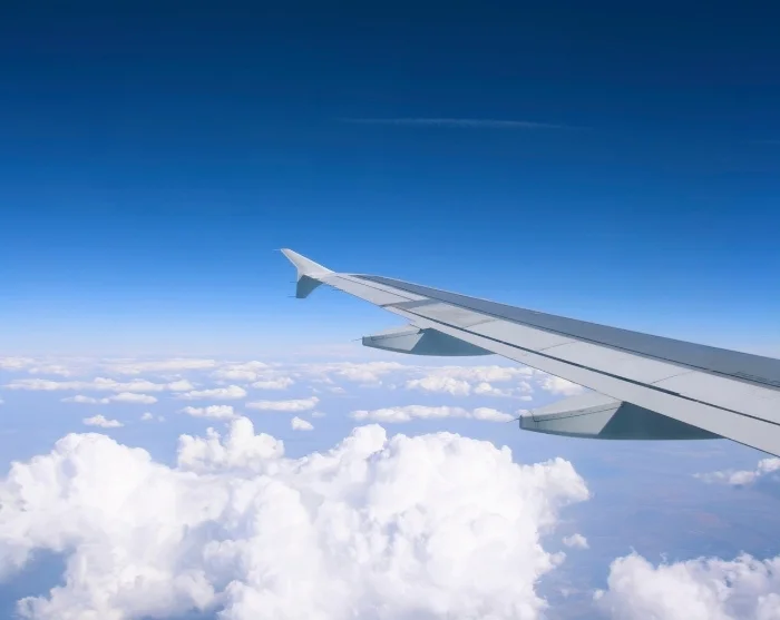 Flyvinge over skyerne på vej til destination