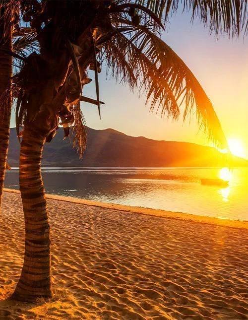 Smuk palmestrand på Mauritius ved solnedgang 