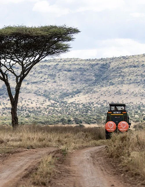 Safaribil med TourCompass-logo kører gennem savannelandskab