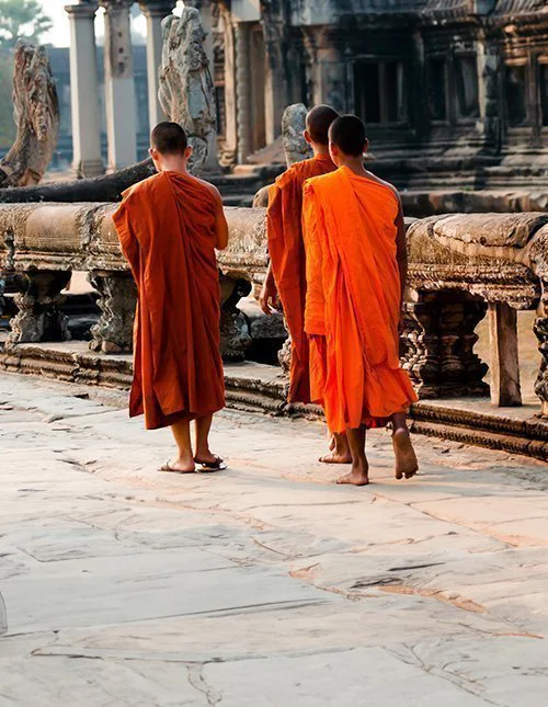 Munke ved Angkor Wat i Cambodja