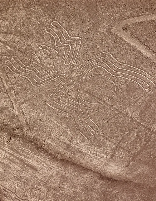 Nazca-linje i ørkenen formet som en edderkop