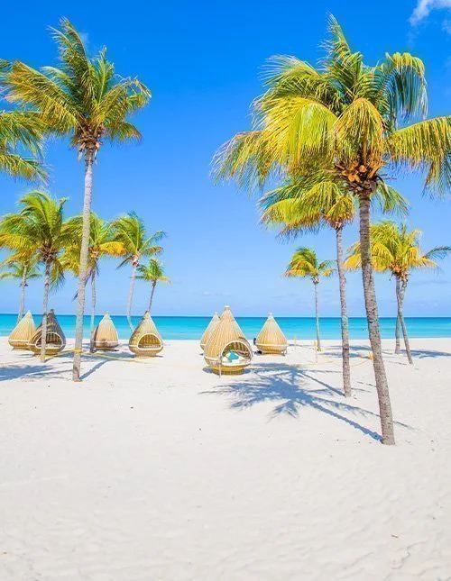 Smuk strand med palmetræer i Varadero, Cuba