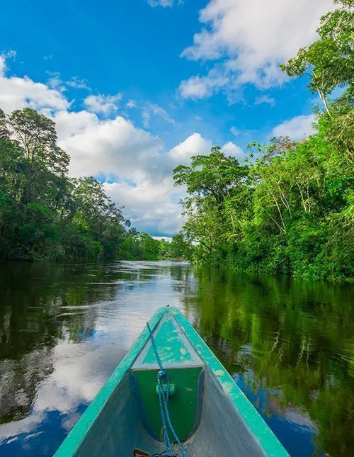 Bådtur gennem Amazonasregnskoven