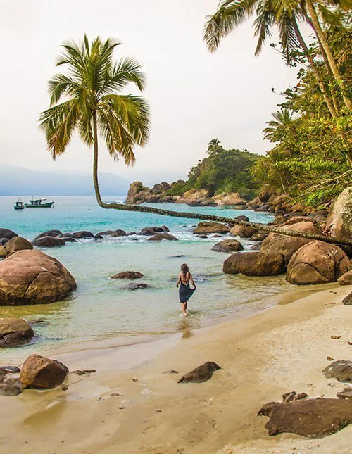 Smuk strand med bøjet palmetræ på Ilha Grande