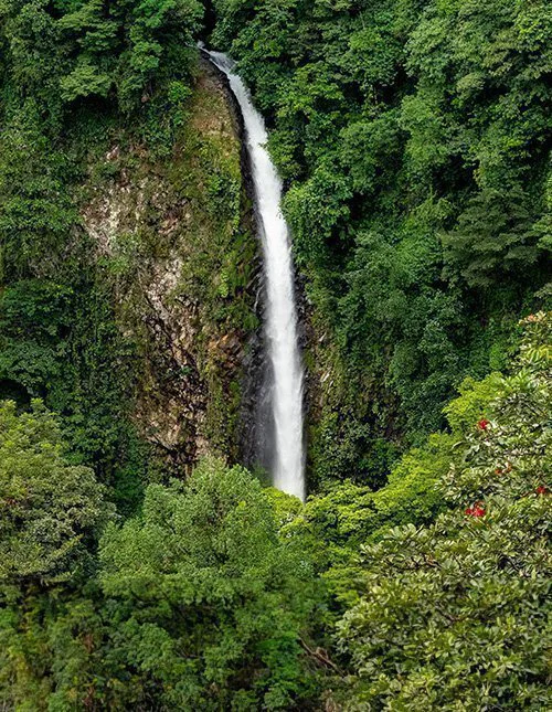 Højt vandfald styrter ned gennem tæt, frodig regnskov i Costa Rica