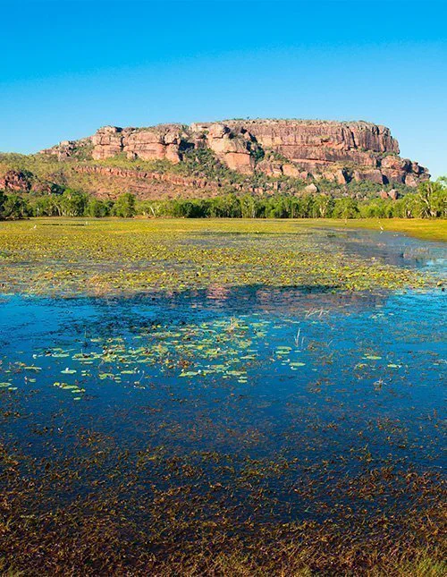 Udsigt til Nourlangie fra Anbangbang Billabong, Kakadu National Park, Australien