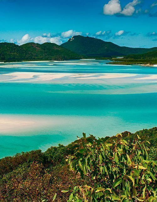 Whitehaven Beach Lagoon i National Park Queensland