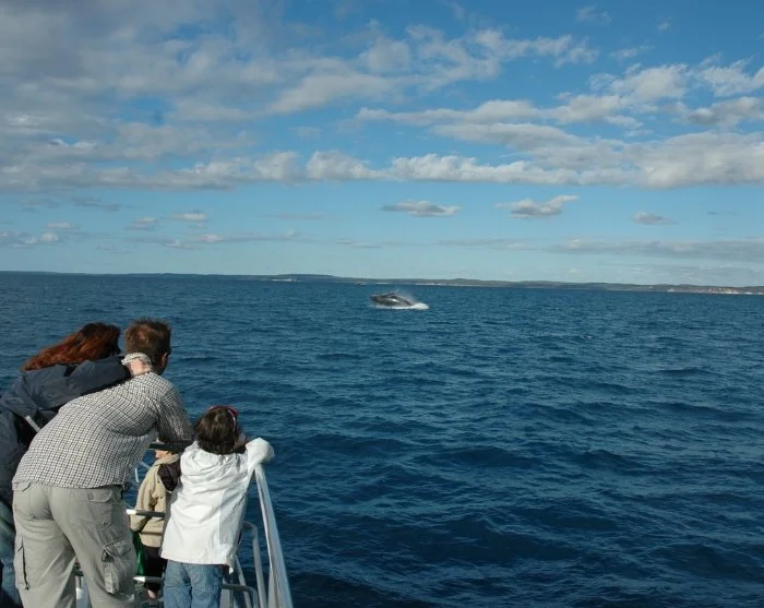 Vis billede 46