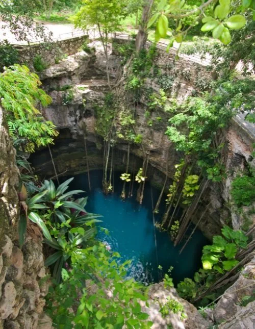 Den frodige oxman cenote i Mexico