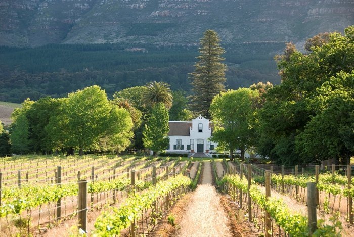 Table Mountain, Groot Constantia & Kirstenbosch Gardens