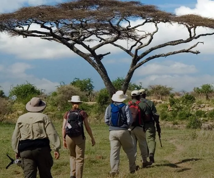 Safari i Sydafrika