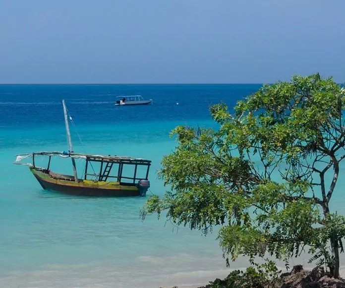Safari i Tanzania & badeferie på Zanzibar