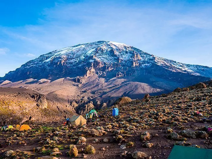 Machame-ruten & safari i 2 nationalparker