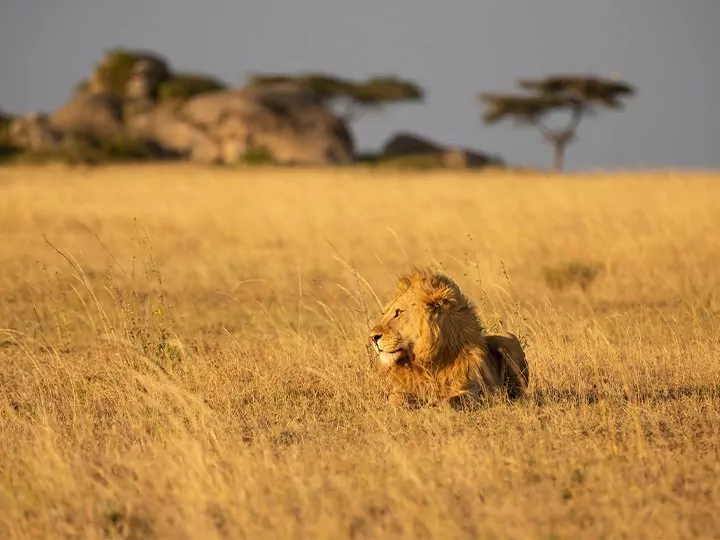 Tanzania