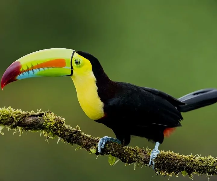 Costa Rica
