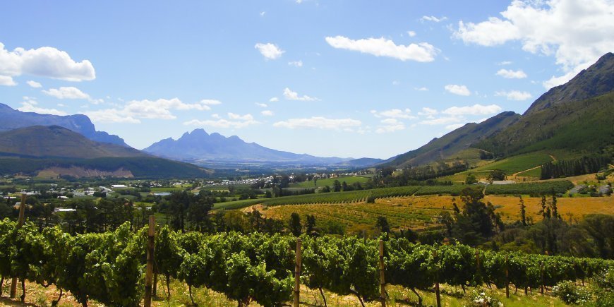 Cape Winelands