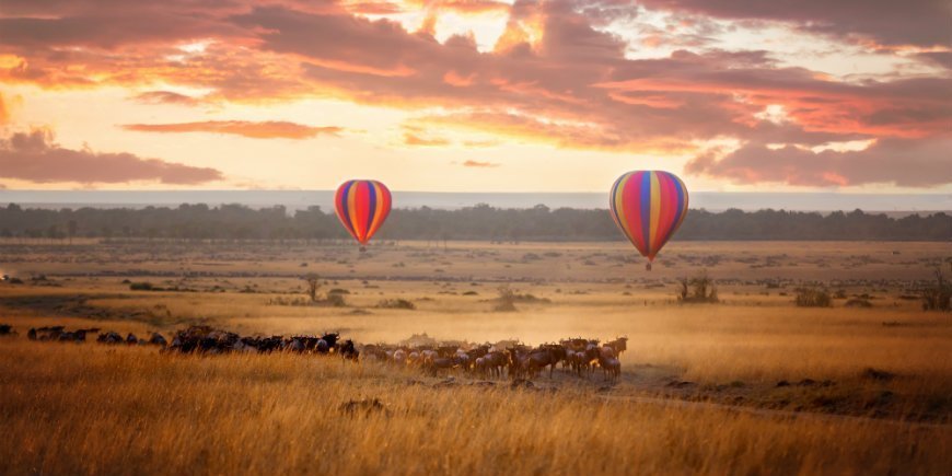 Ballonsafari i Masai Mara