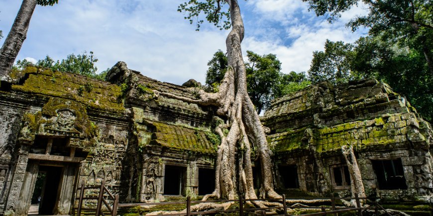 ta prohm-templet