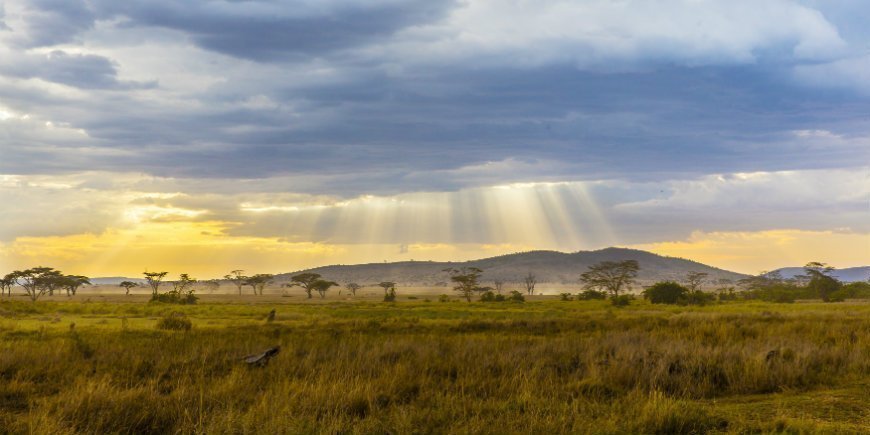 Serengeti plains