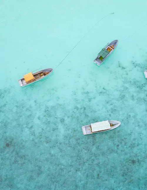 Luksuriøs fly in-safari i Tanzania & badeferie på Zanzibar