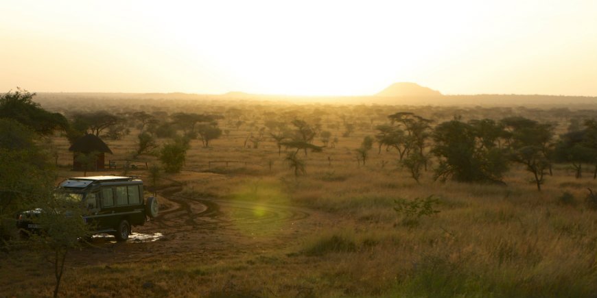Ikoma Wild Camp i Tanzania